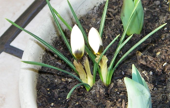 ��̫����û�ĵ�ȫ����- -!