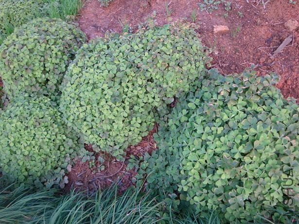 �ö�ö��� ��·����·һ����