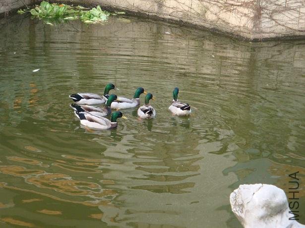 Ѽ�Ӻÿɰ������е�ʱ���ŶӺ�����