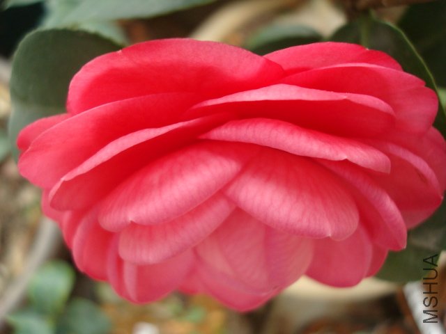 DSC06157.JPG
