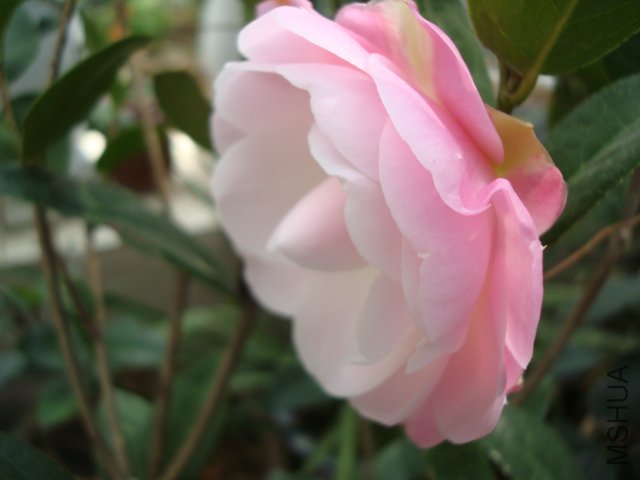 DSC06400.JPG