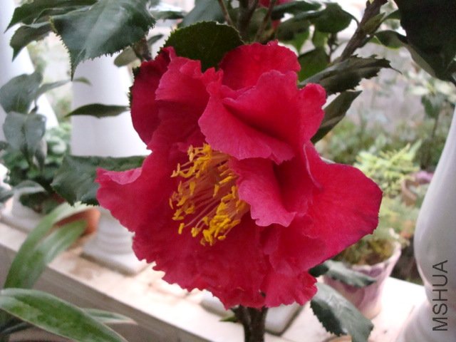 DSC06215.JPG