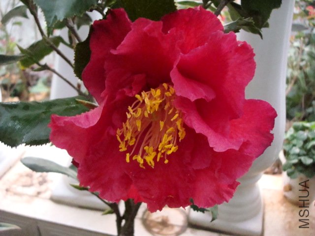 DSC06214.JPG
