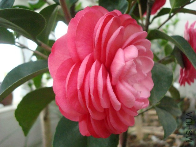 DSC06365.JPG