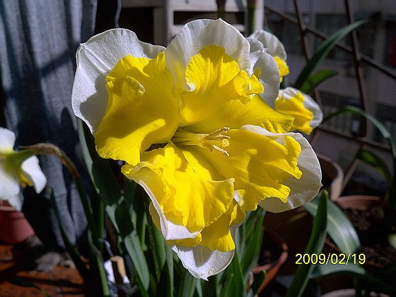 ��Ƭ 599(576).jpg