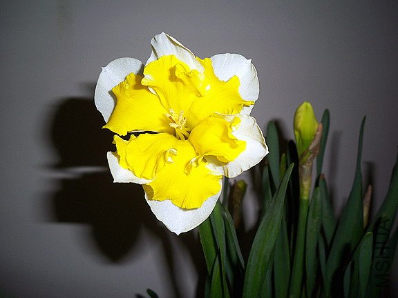 ��Ƭ 560(576).jpg