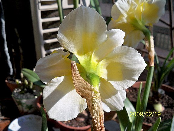 ��Ƭ 603(576).jpg