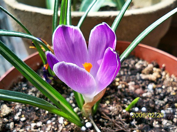 ��Ƭ 1475(576).jpg