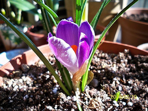 ��Ƭ 1463(576).jpg