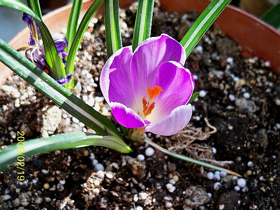 ��Ƭ 1450(576).jpg