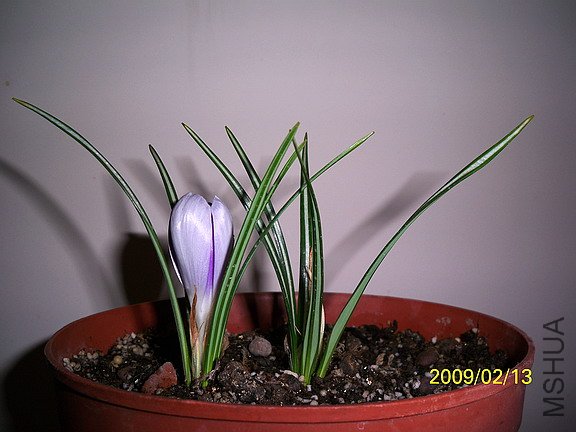 ��Ƭ 1437(576).jpg