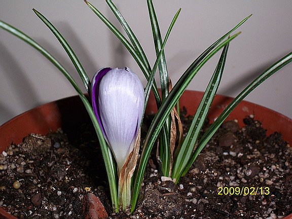 ��Ƭ 1443(576).jpg