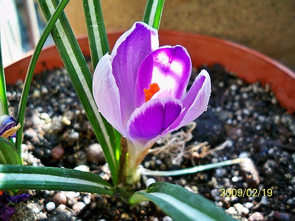 ��Ƭ 1465(576).jpg