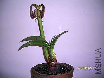 ��Ƭ 2460(400).jpg