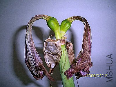 ��Ƭ 2449(400).jpg