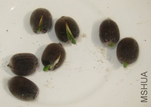 ���ҵ����������Ѿ���ѿ�ˡ�