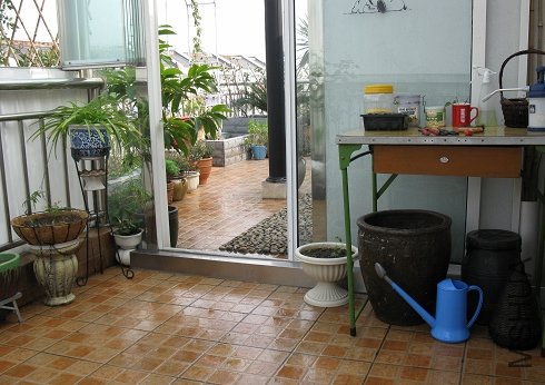 ����һ�����ǽ������һ�Ƚ������š�