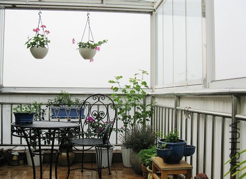 ����ͱ���