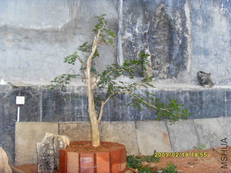 �����ع� SDC11466.JPG