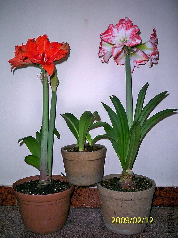 ��Ƭ 2155(576).jpg