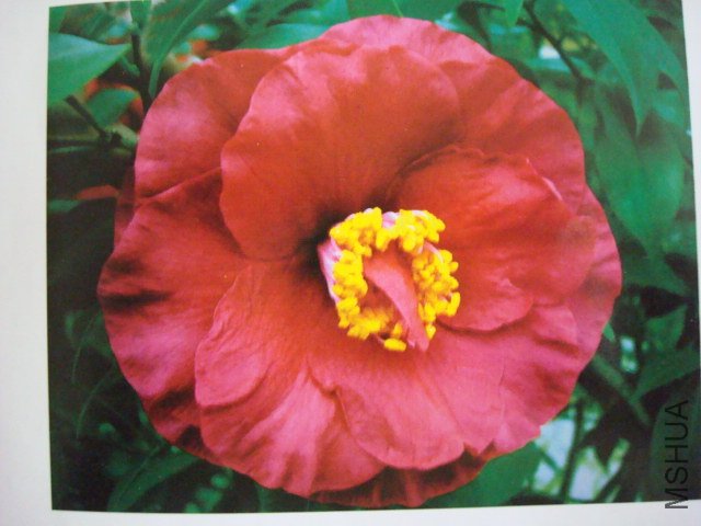 DSC06500.JPG