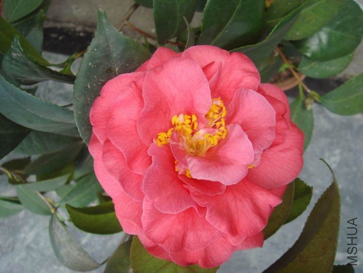 ���˶����ɫ�ģ����ǵڶ��䣬�����ǵ�һ��