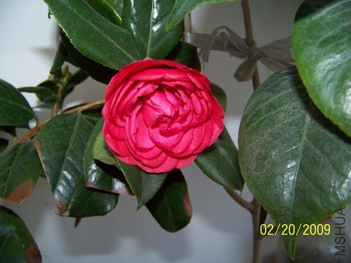 100_1234.JPG