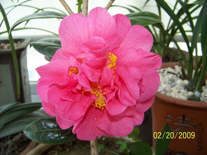 100_1237.JPG