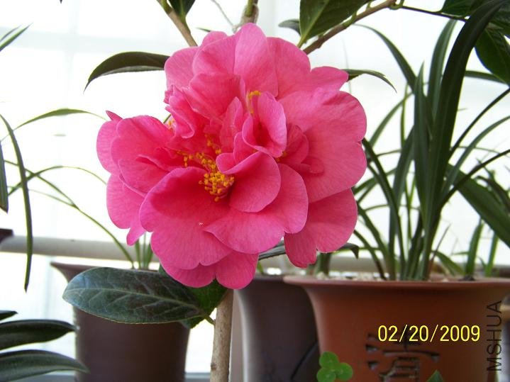 100_1244.JPG