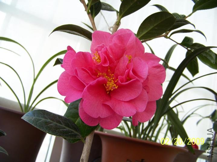 100_1241.JPG