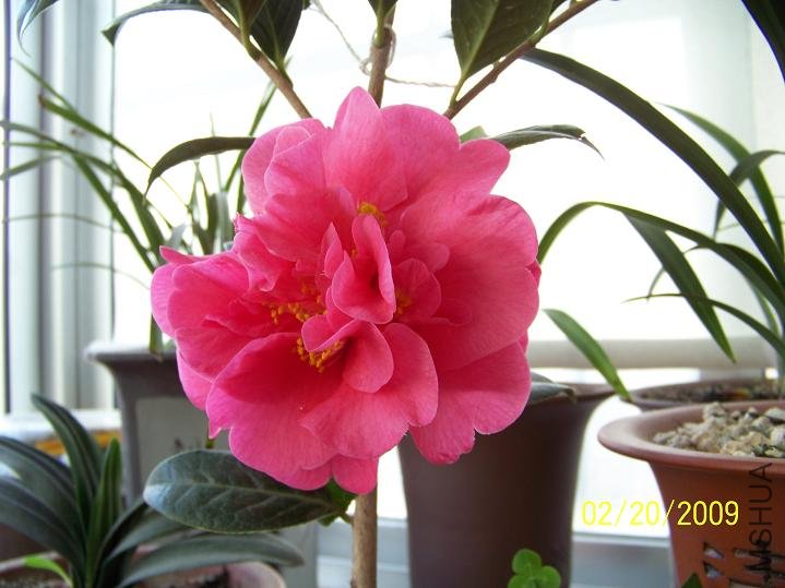 100_1239.JPG