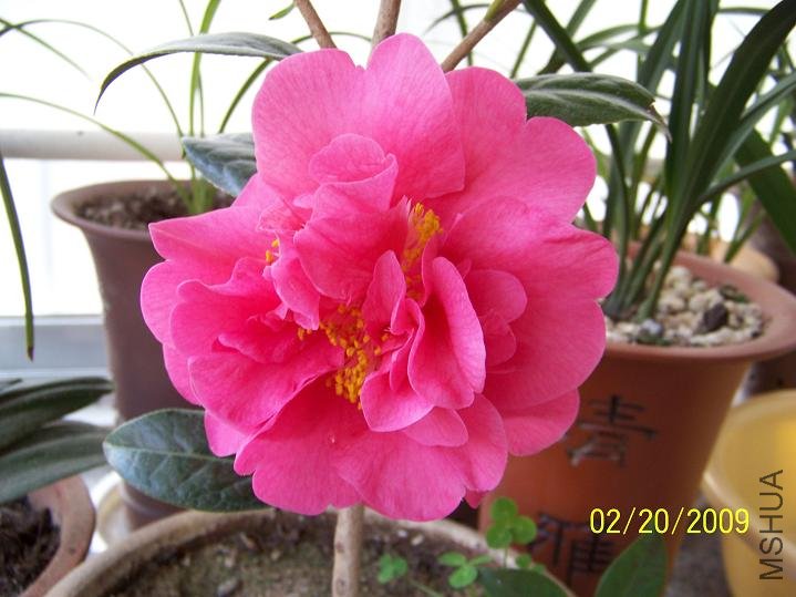 100_1243.JPG
