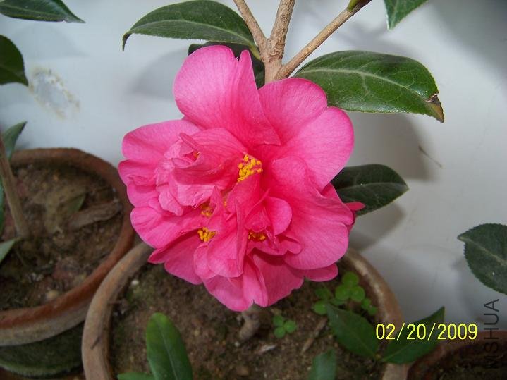 100_1236.JPG