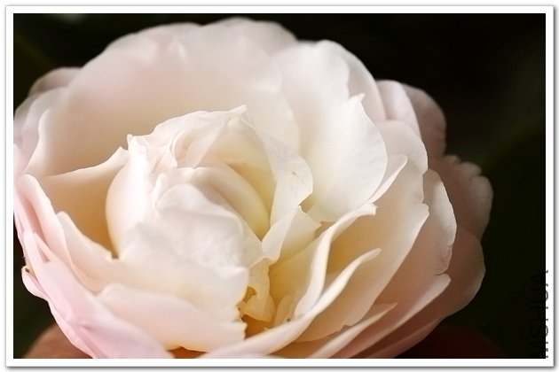 ��Ƭ 040.jpg