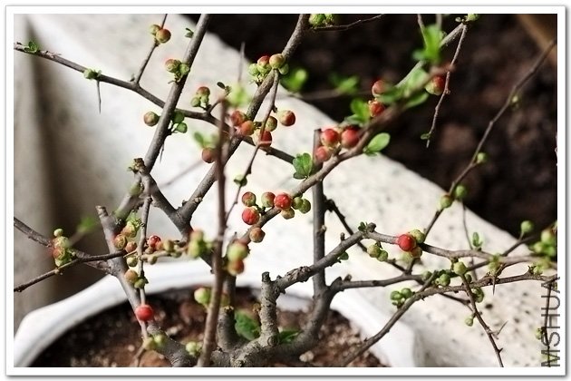 ��Ƭ 037.jpg
