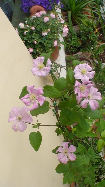 �ȿ������ӵ�Ч��