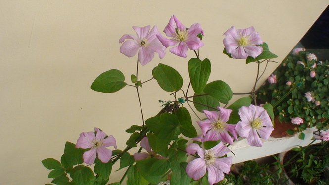 8�仨����������.