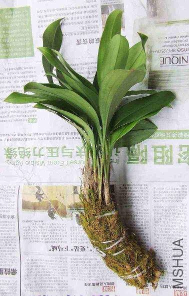 16_150839_9d2648bc5f85a6a.jpg