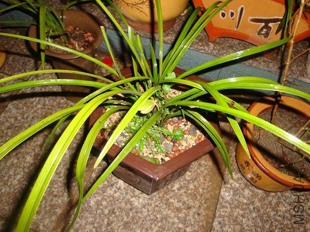 ���������㿪��Ҳ��������������