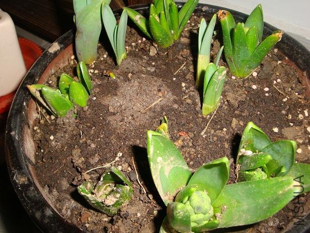 �ö��ǲ��Ǽм��ˣ�