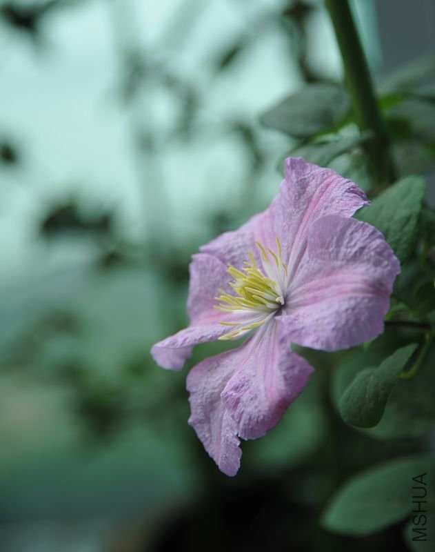 20090222�������� (1).jpg