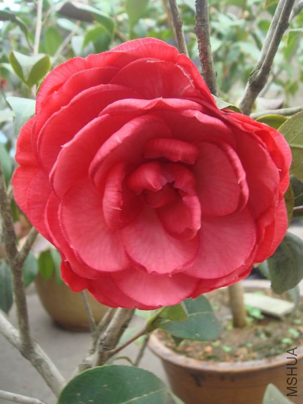 ����õ��