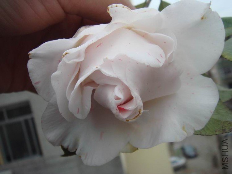 �ȴ�����֮��