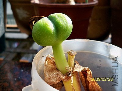 ��Ƭ 2489(400).jpg