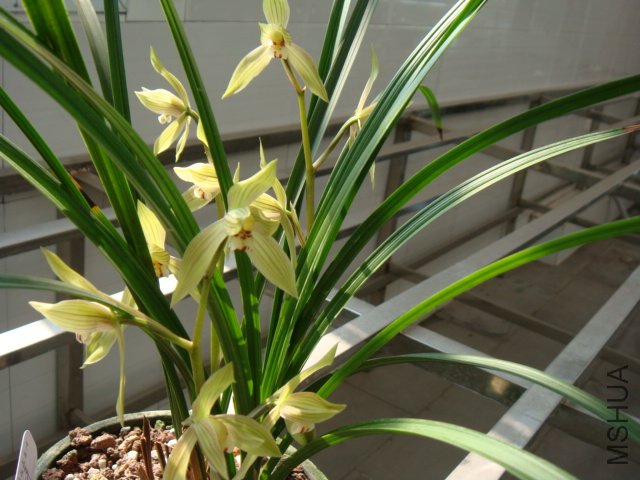DSC00357.JPG