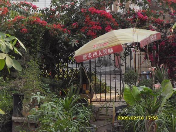 ������С SDC11457.JPG