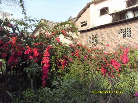 ������С SDC11455.JPG