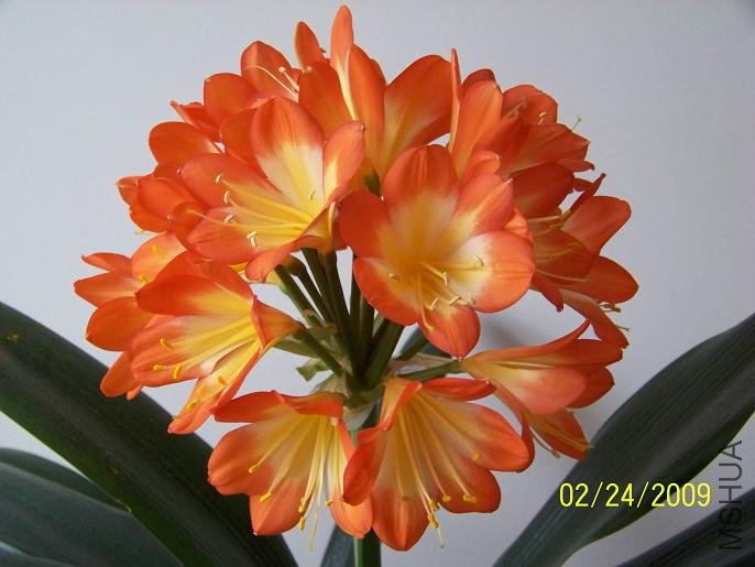 100_1270.JPG