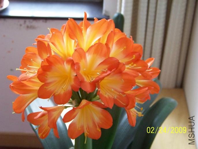 100_1271.JPG