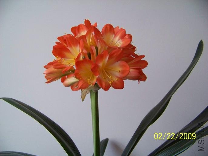 100_1263.JPG